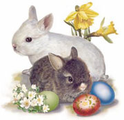 Easter - Bunnies
