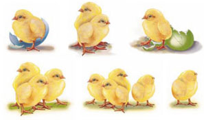 Easter - Chick Bits