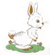 White Bunny - 8 PCS as shown