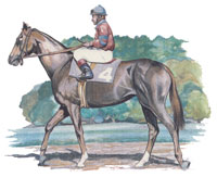Horse with Jockey
