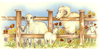 Animal Farm Wrap Sheep & Ram