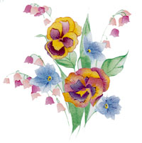Pansies and Flowers