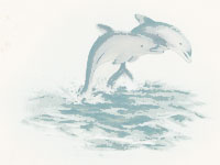 Dolphins