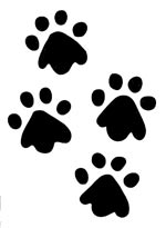 Dog Paws Prints