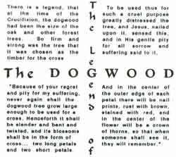 The Legend of the Dogwood