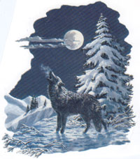 Howling Wolf