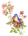 Blue Birds with pink blossoms