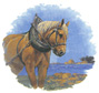Horse - Le Breton