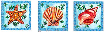 Nautical Shells Designs