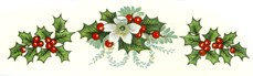 Christmas - Poinsettia - Holly and Berries