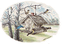 Songbirds and Birdhouse
