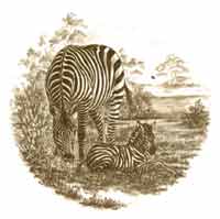 Sepia African Animals - Zebra