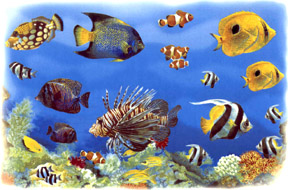 Tropical Mural, Fish