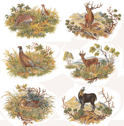 Deer, Elk, Quail, Pheasant, Mountain Goat, Snipe