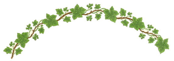 IVY BORDER - CURVED