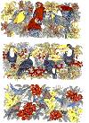 Tropical Birds Wraps - Parrots, Toucans, Hummingbird