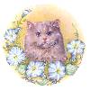 Cat with Flowers