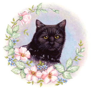 Cat with Flowers