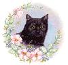 Cat with Flowers