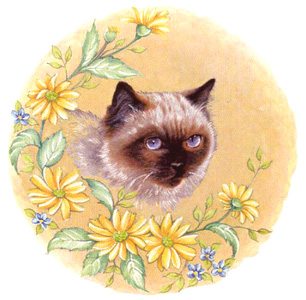 Cat with Flowers