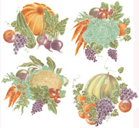 Veggies - Lettuce, Cauliflower, Carrots, Grapes, Pumpkin