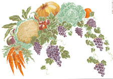 Veggies - Lettuce, Carrots, Beets, Zucchini, Grapes, Pumpkin