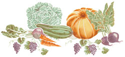 Veggies - Lettuce, Cauliflower, Carrots, Grapes, Pumpkin