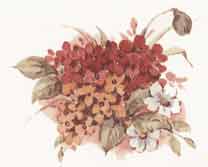 Victorian Florals - Poppies, Hydrangea
