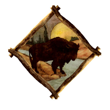 Rustic - Lodge Buffalo