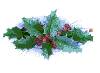 Christmas Holly