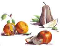 Fruit - Apples, Pear, Oranges - 3 PC. SET