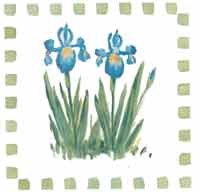 Blue Iris - Tile Design