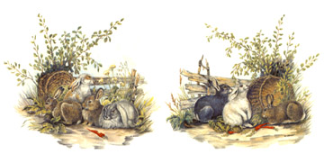 Rabbits