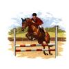 Horse - Show Jumping