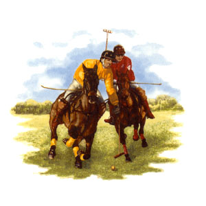 Horse - Polo