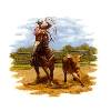 Horse - Calf Roping