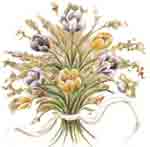 FEBRUARY FLOWERS OF THE MONTH - Crocus