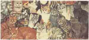 Cats - Collage WRAP