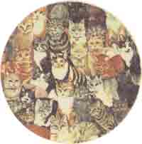 Cats - Collage