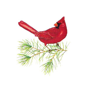 Birds - Cardinal - Glass-Low Fire