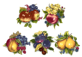Fruit - Grapes, Pears, Blueberries, Raspberries, Apples, Plums