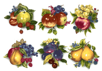 Fruit - Grapes, Pears, Blueberries, Raspberries, Peach, Apples, Plums