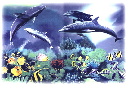 Seaworld Mural Dolphins