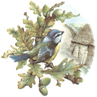 Cottage Birds - Bluetit