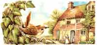 English Cottage and Wren Bird Wrap