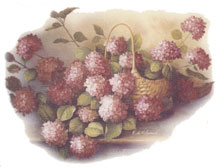 Pink Hydrangea Basket