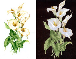Kala Lilies - Can be used on dark colors