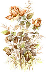 Floral Roses Mural