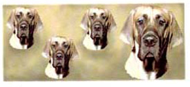 Dog Wrap - Great Dane