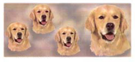 Dog Wrap - Golden Retriever